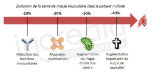 masse musculaire, patient, malade, protéines, gestion du poids, infection