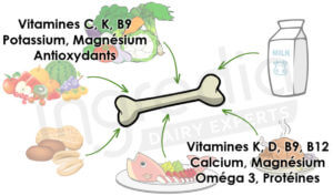 Nutriments agissant positivement sur la santé osseuse